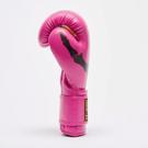 Leone  X IUTER GNTIA PuGAXIAS -fuxia